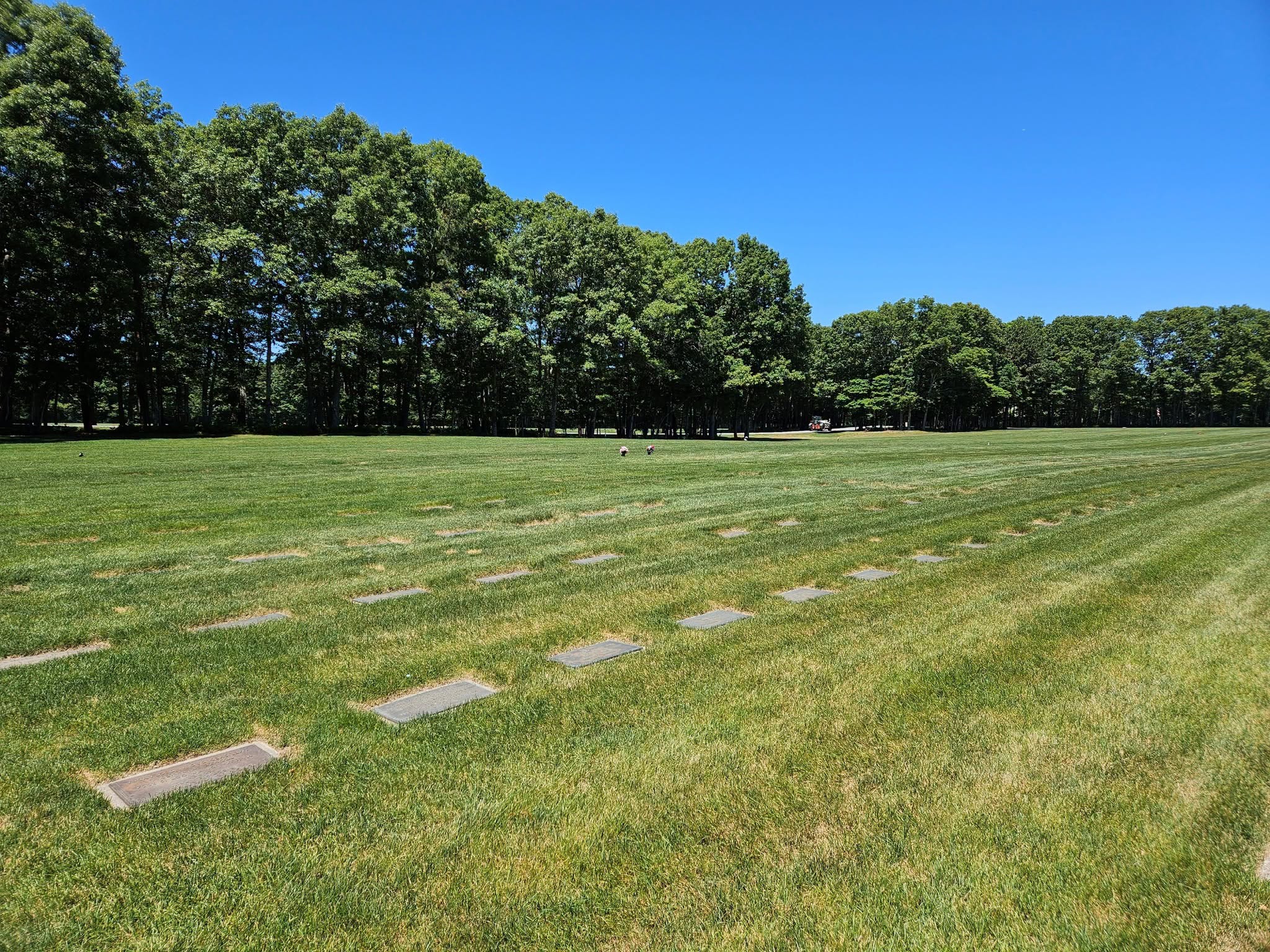 The open cemetery grounds of Section 11 at Calverton National Cemetery, with flat grave markers crossing the grass toward a tree line.